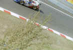 gplk-porsche996-gt3-3-1stelinkse.jpg (382439 bytes)