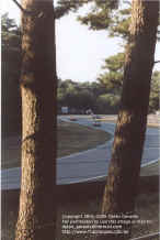 graphics-3-gillesvilleneuve.jpg (89635 bytes)